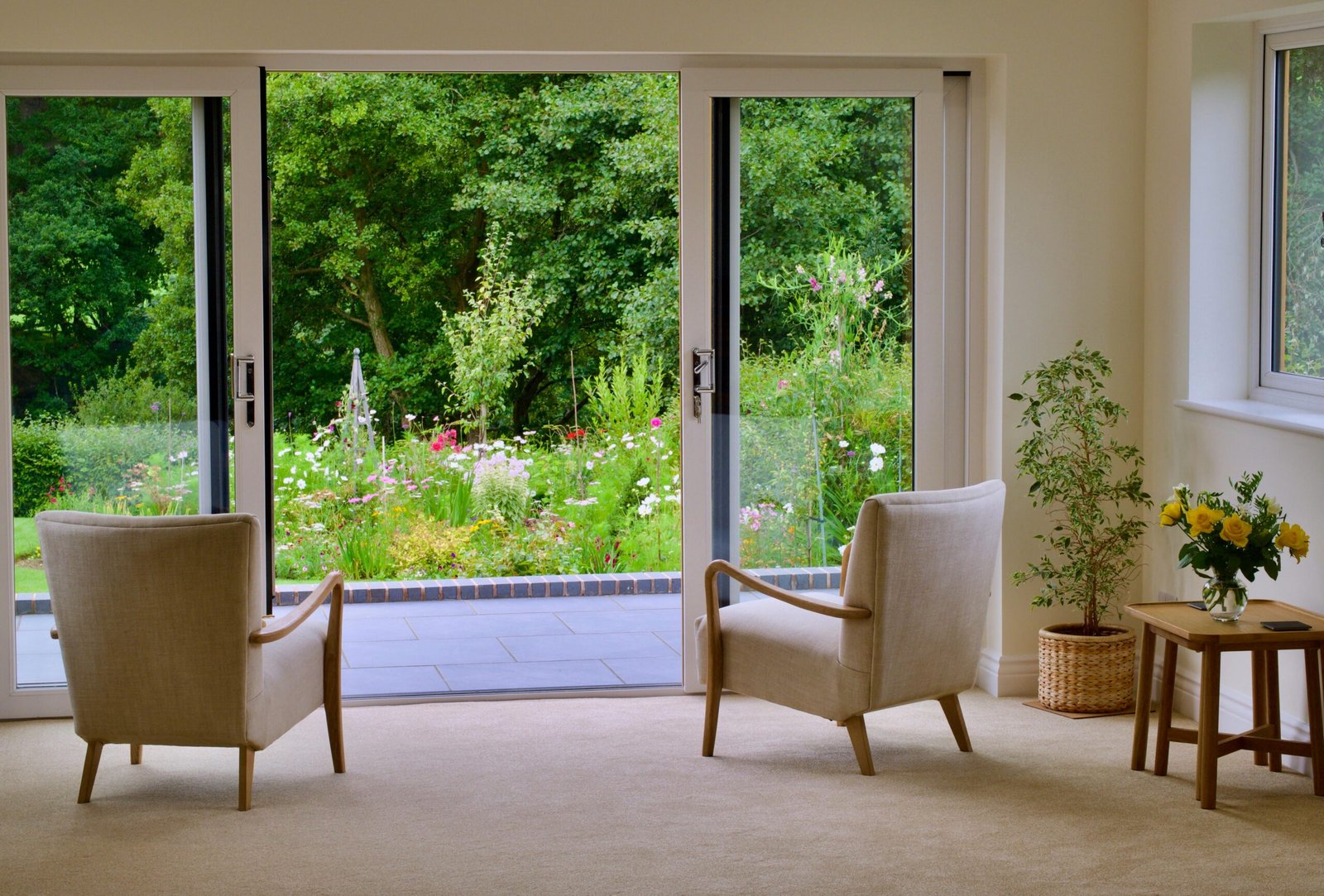 pexels-dave-h-1484184665-27770697